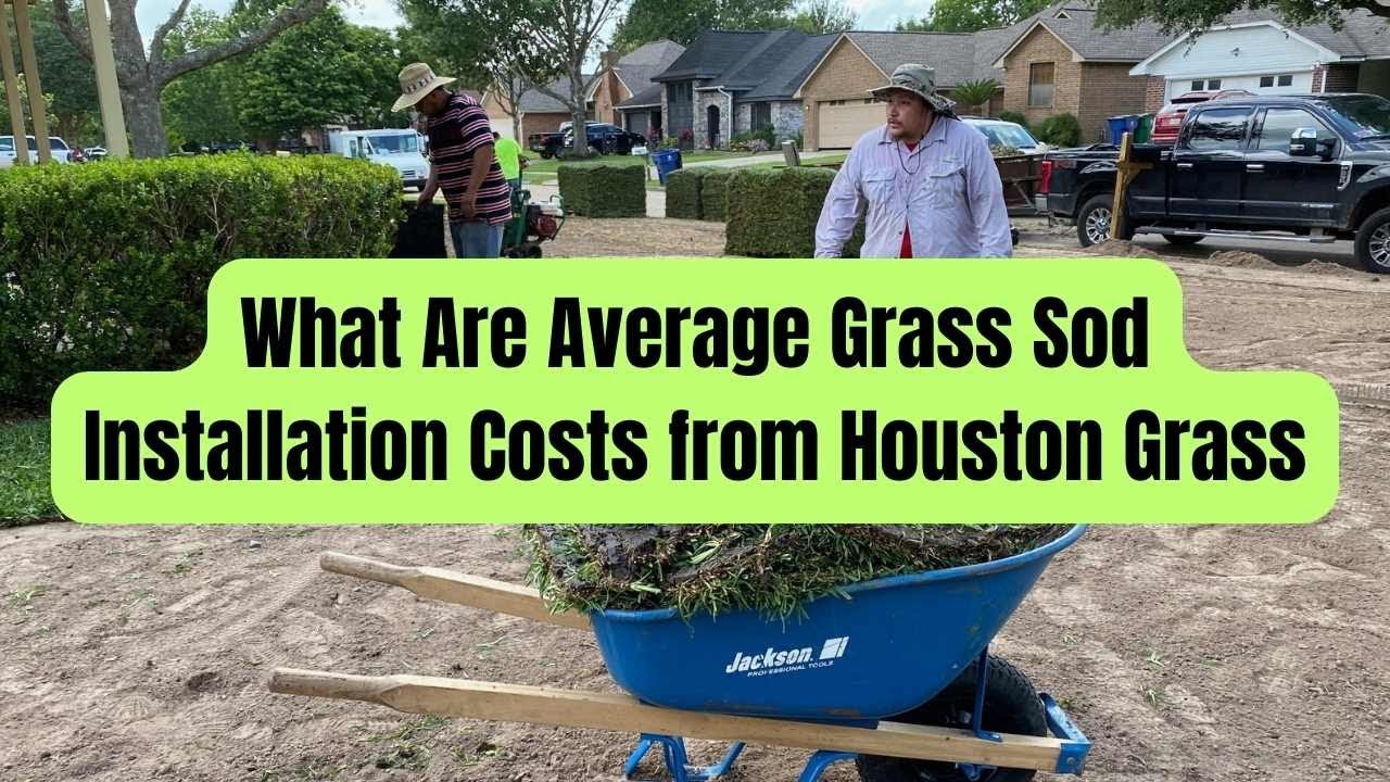 Какова средняя стоимость укладки газона от компании Houston Grass?