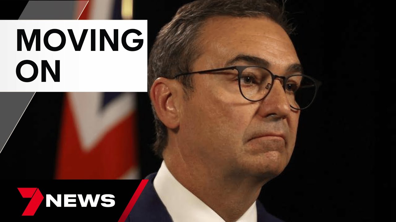 Former South Australian premier Steven Marshall announces resignation from parliament | 7 News