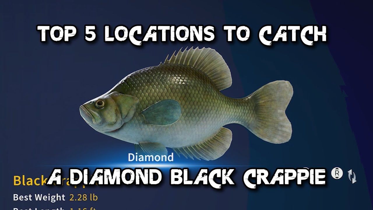 Top 5 locations To Catch A Diamond Black Crappie!
