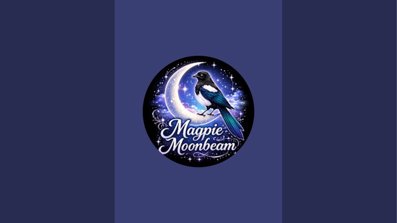 Magpie is Live ✨🌙 #chatting #chillstream #positivevibes