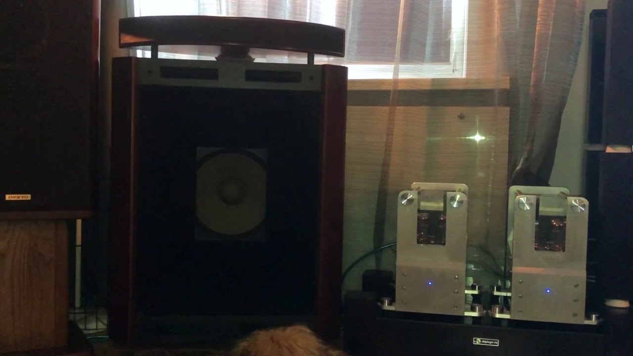 Exclusive EW 302 + Opera audio consonance cyber 800 + Pink Pantera