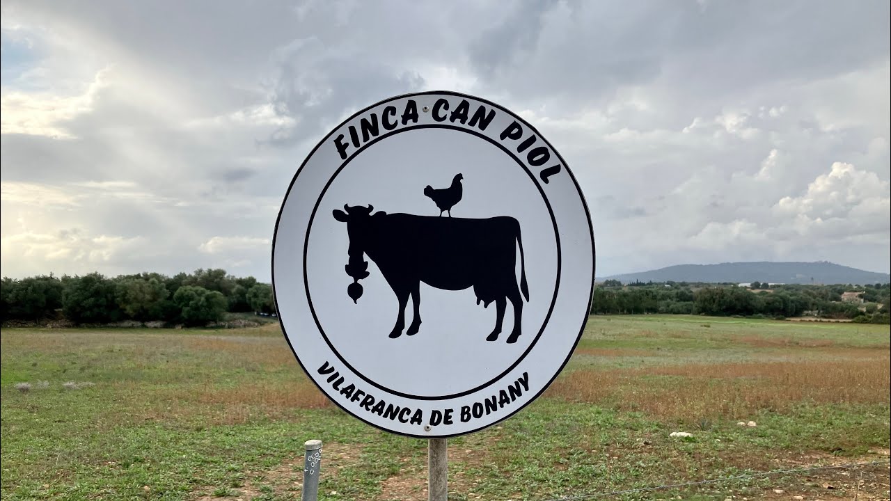 Woofing, Volunteering, on Farm in Manacor Spain on the island of Mallorca Wwoof. What to expect?