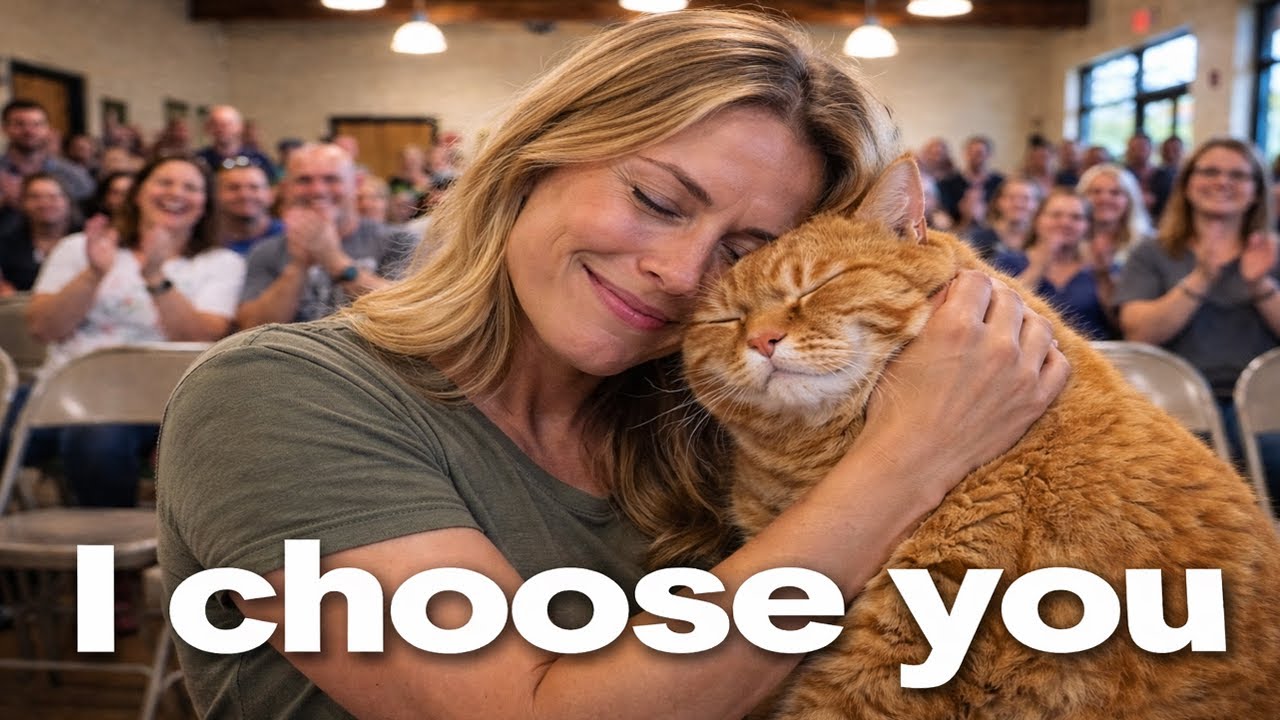 Когда кошки выбирают своих хозяев — Истории об усыновлении #кошки #усыновлениекошек #трогательно