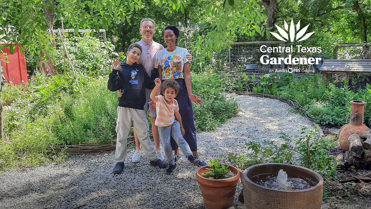 Blank Yard to Wonder-Filled Gardens