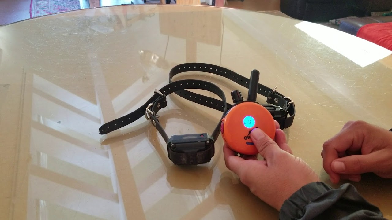 Mini Educators- Connecting two receivers to one remote