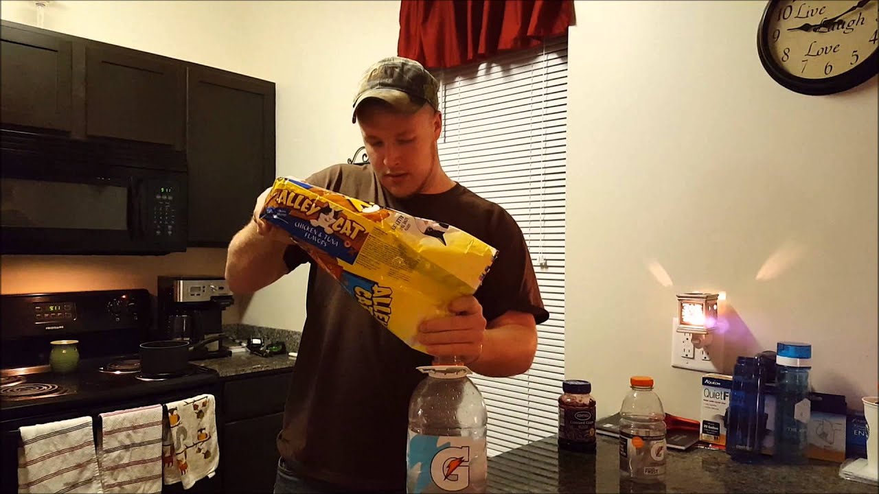 How to Make Dog Proof Coon Bait