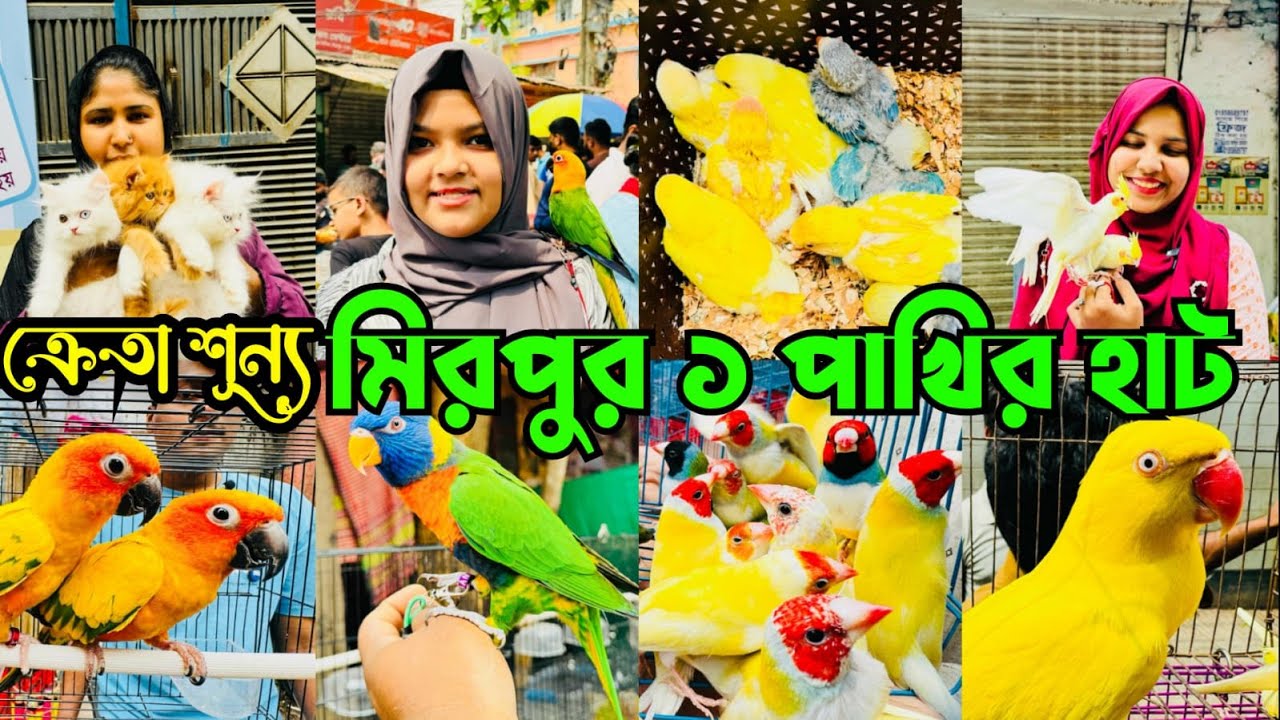 ক্রে*তাশূন্য মিরপুর ১ পাখির হাট | Mirpur 1 Pakhir Hat | কে*নাবে*চা অনেক কম #viralvideo