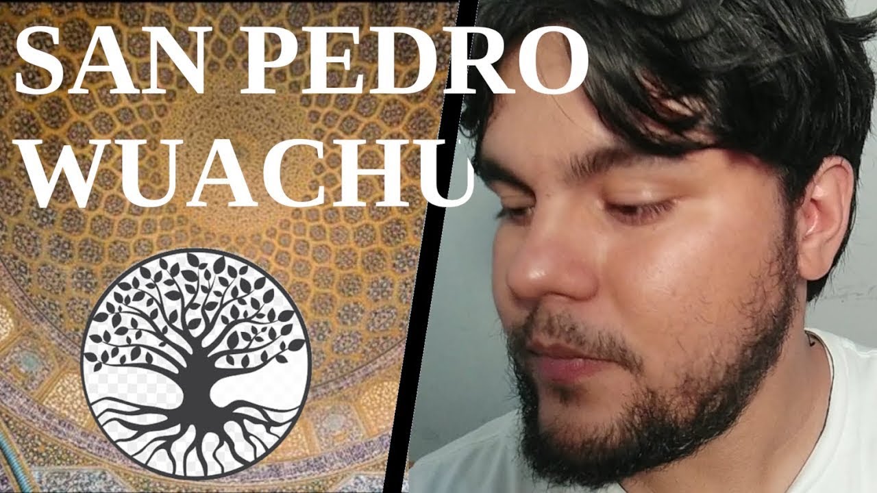 San Pedro-Wachuma. El abuelo olvidado  | Experiencia | Efectos | Visiones | Ceremonia | Lecciones