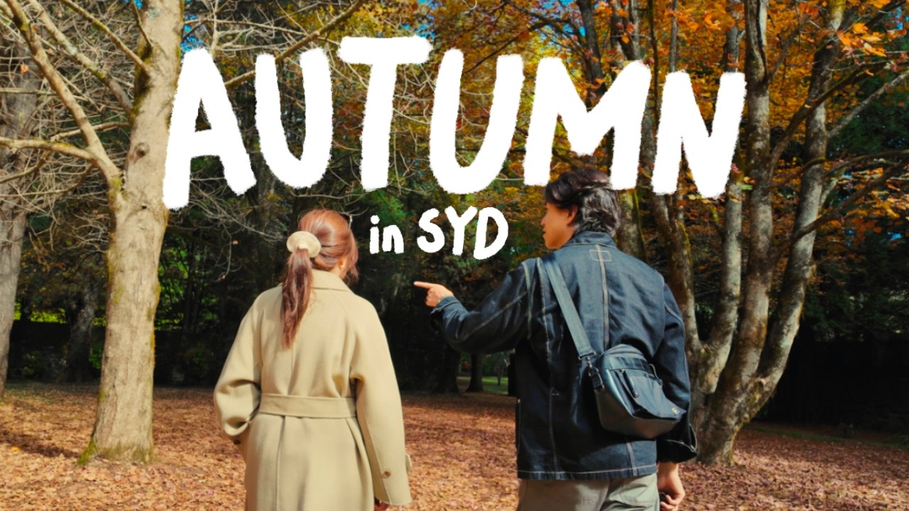 Life back in Sydney - Balancing work, cafes, day trips, and everyday things