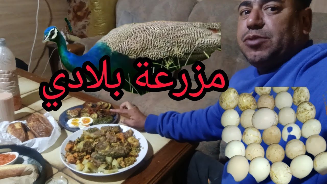 🏞️مزرعة بلادي واليوم الثالث عشر من رمضان💯اجواء لا توصف معى مول العصير⁉️كل نهار الجديد🥰
