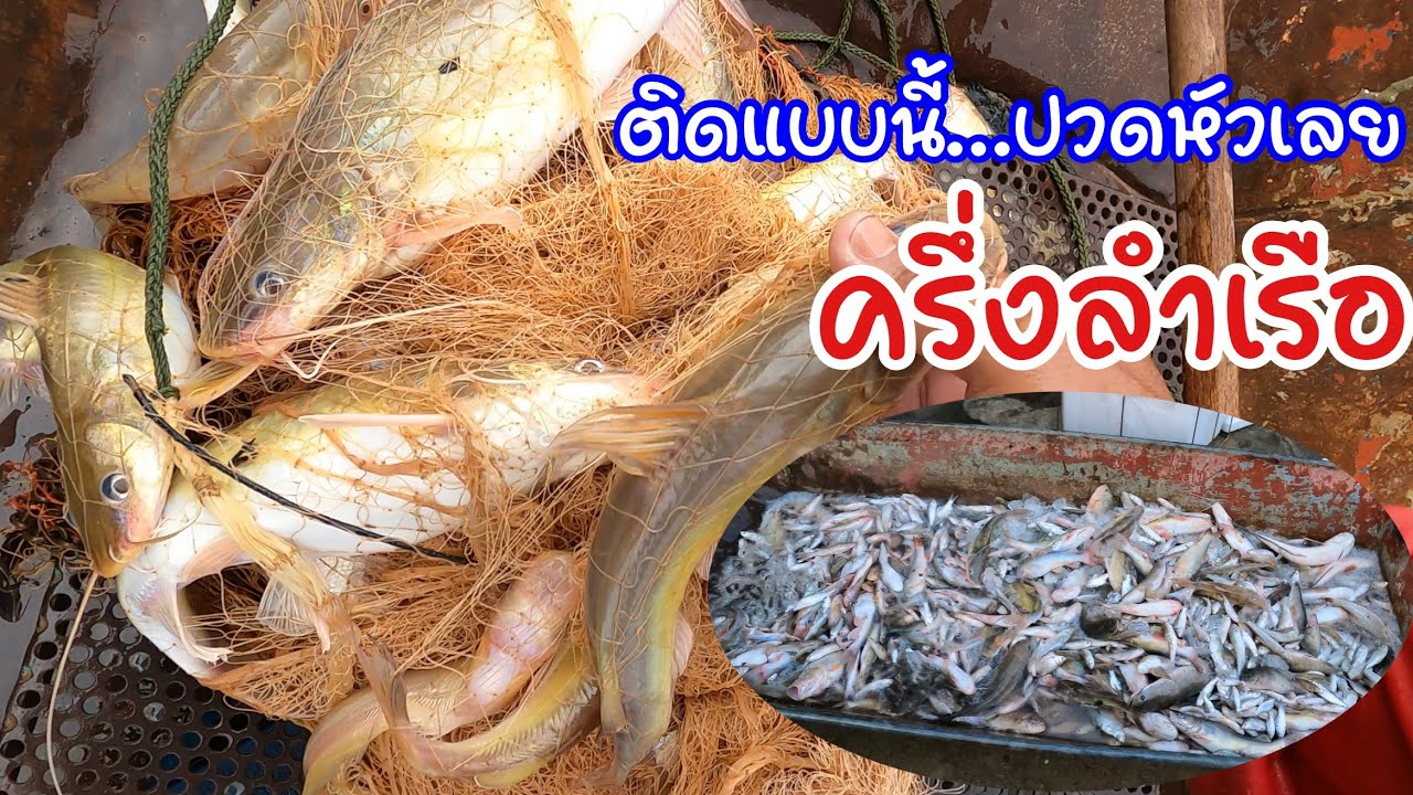 โอ้ย!ติดแบบนี้จะปดยังไง หว่านแห ทอดแหใต้ฝาย งงเลย?น้ำแห้งไม่น่ามีปลาที่ไหนได้ขนครึ่งลำเรือ