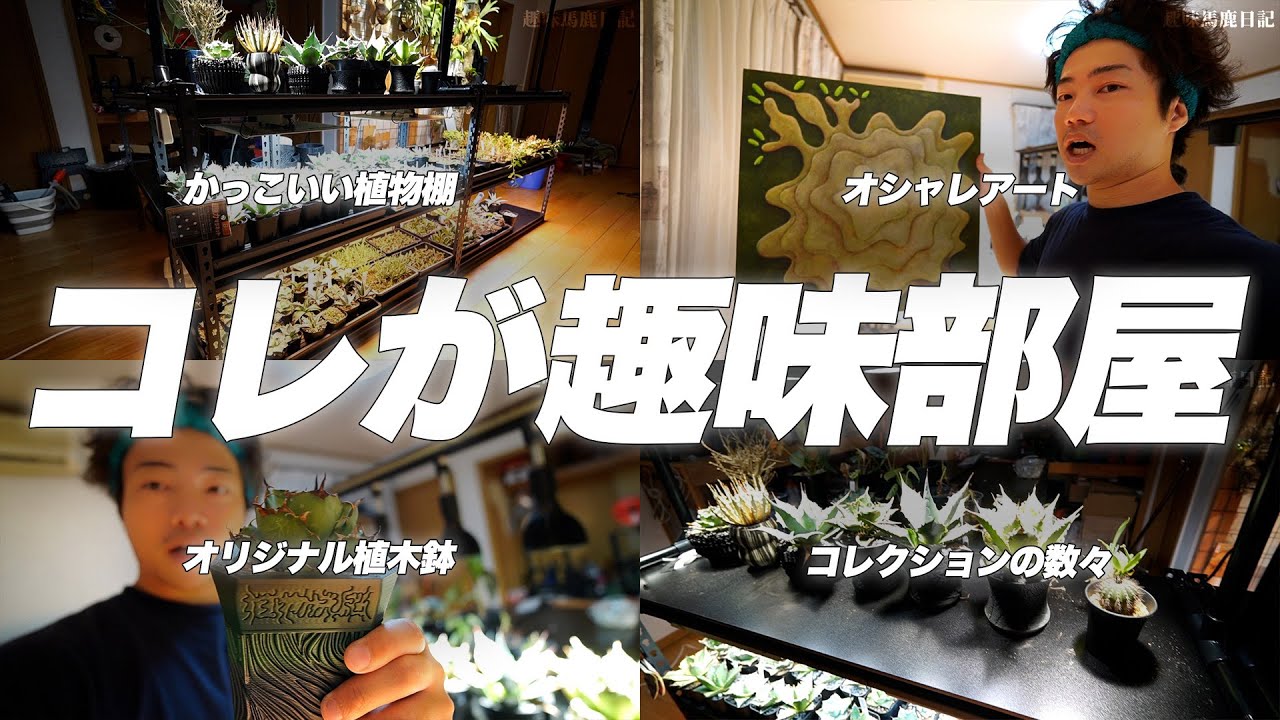 【ルームツアー】植物に洗脳された30歳男性の趣味部屋が生まれ変わったらしい[塊根植物][観葉植物][アガベ]