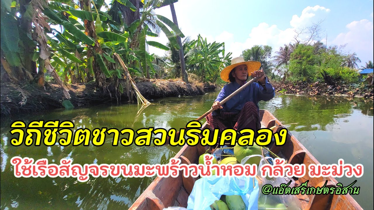 เกษตรพอเพียง วิถีชีวิตชาวสวนริมคลอง ปลูกมะพร้าวน้ำหอม กล้วย มะม่วง ผักสวนครัว ใช้เรือสัญจรขนของ