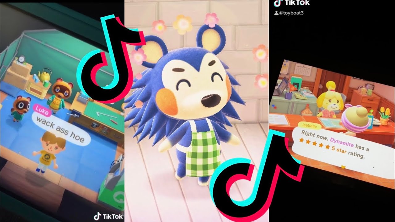 animal crossing tik tok memes i bought at nooks cranny