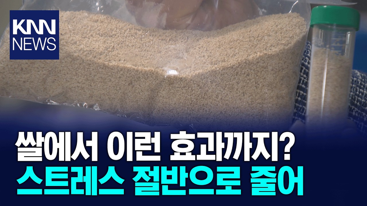 쌀 부산물의 재발견 '정신건강 개선 효과' 확인 / KNN