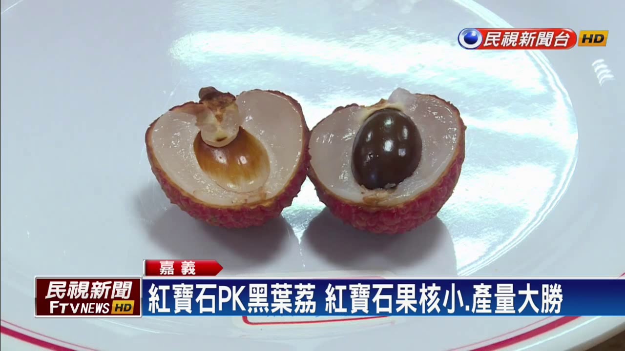 新品種荔枝「五號紅寶石」 果核小口感佳－民視新聞