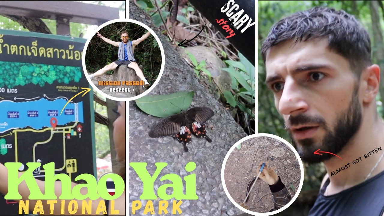 Casual Walk or Wildlife Safari? 7 Waterfalls Surprise at Khao Yai National Park #thailand