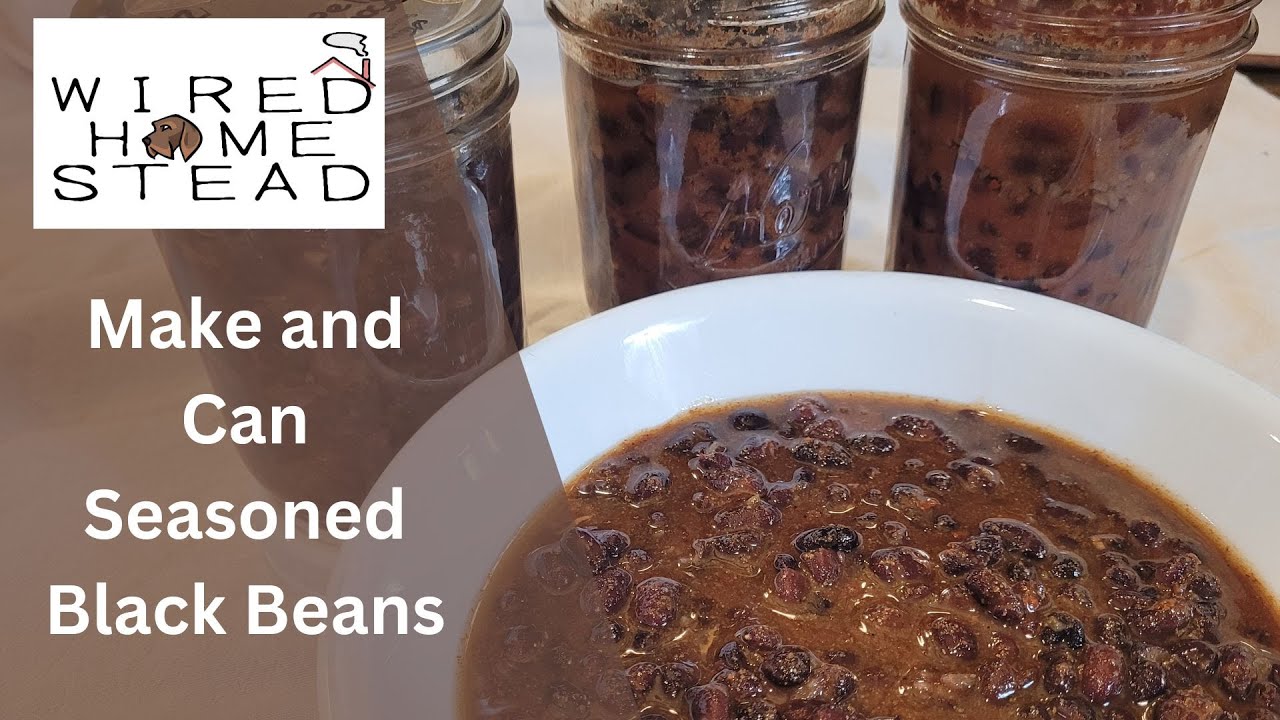 Food Preservation | Make and Can Seasoned Black Beans | Great For The Pantry Challenge