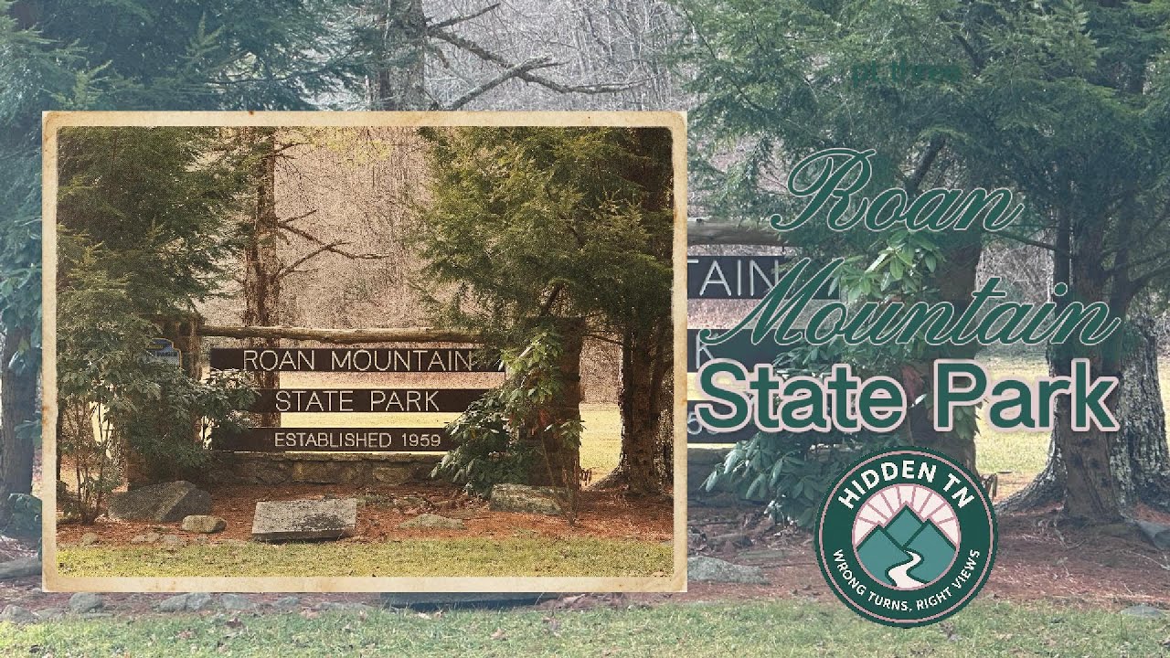 Roan Mountain State Park Part 1 | History, Rhododendrons & a Peaceful River Trail