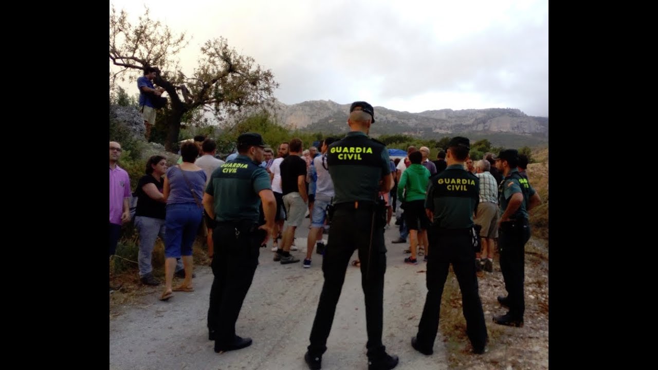 Desastre mediambiental: Xylella Fastidiosa. La Vall de Guadalest planta cara a la Unió Europea