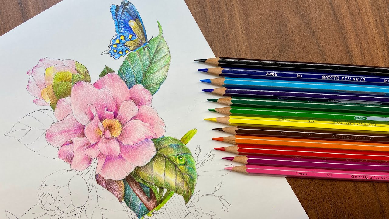LIVE Pintura Floral ( Parte 1) com lápis de cor Giotto 12 cores I Márcio Graff