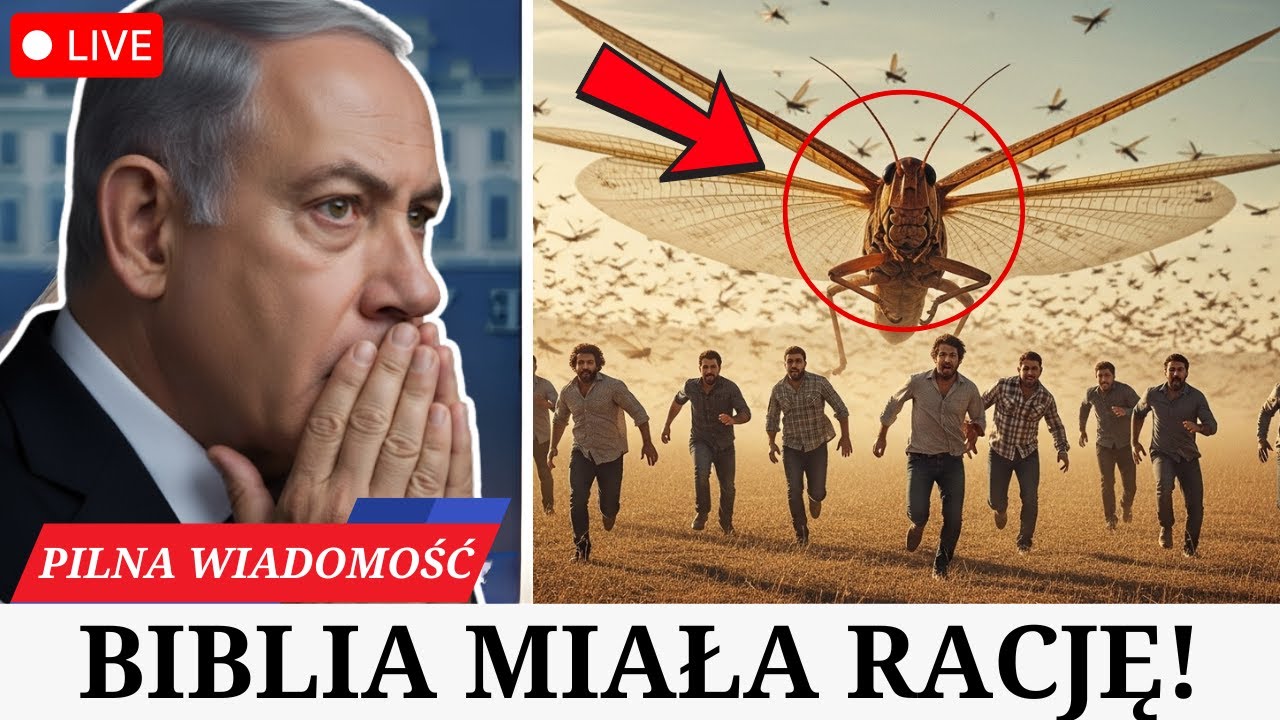 Słuchajcie, to, co właśnie wydarzyło się w Jerozolimie, wstrząsnęło ŚWIATEM. PROROCTWA się spełniają