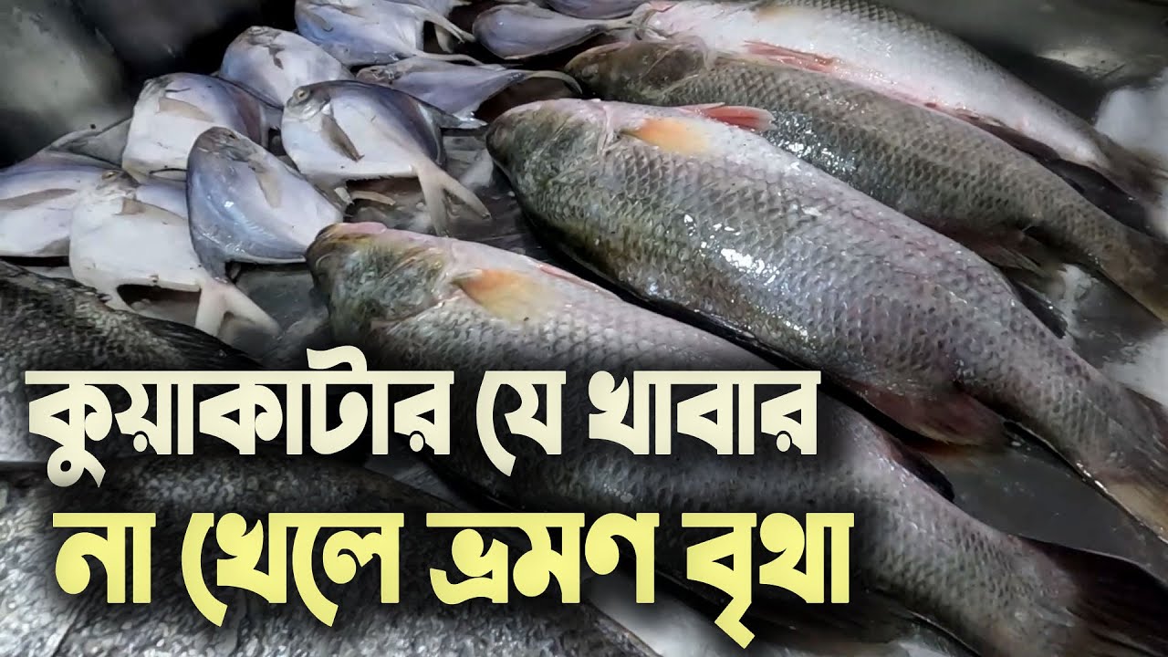 Food that you won't eat if you don't visit Kuakata | Fish Fry & BBQ | Kuakata Sea Beach