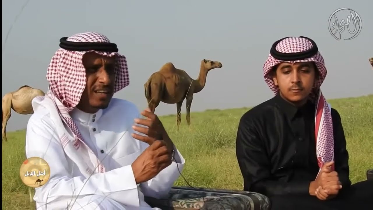 برنامج | اهل الابل  -  الاوارك والساحلية منطقة جازان | الجزء الثاني