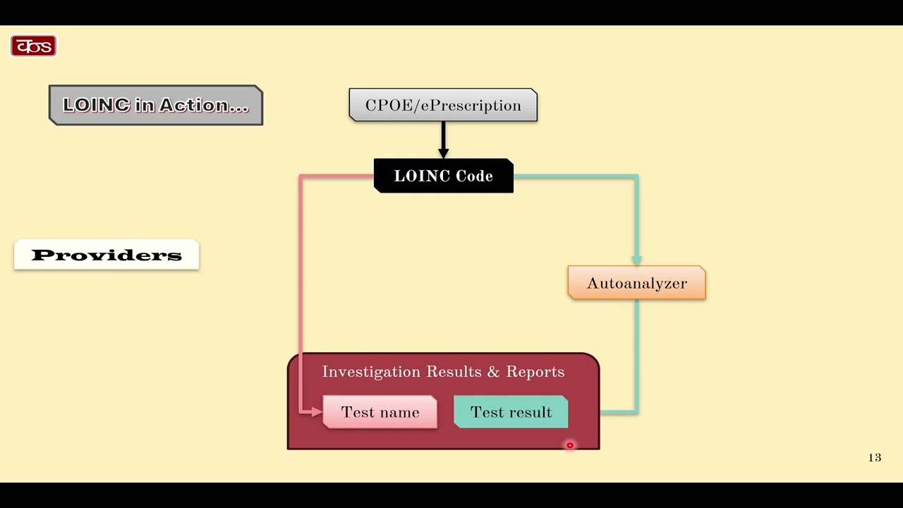 LOINC Beginner's Guide (tutorial)