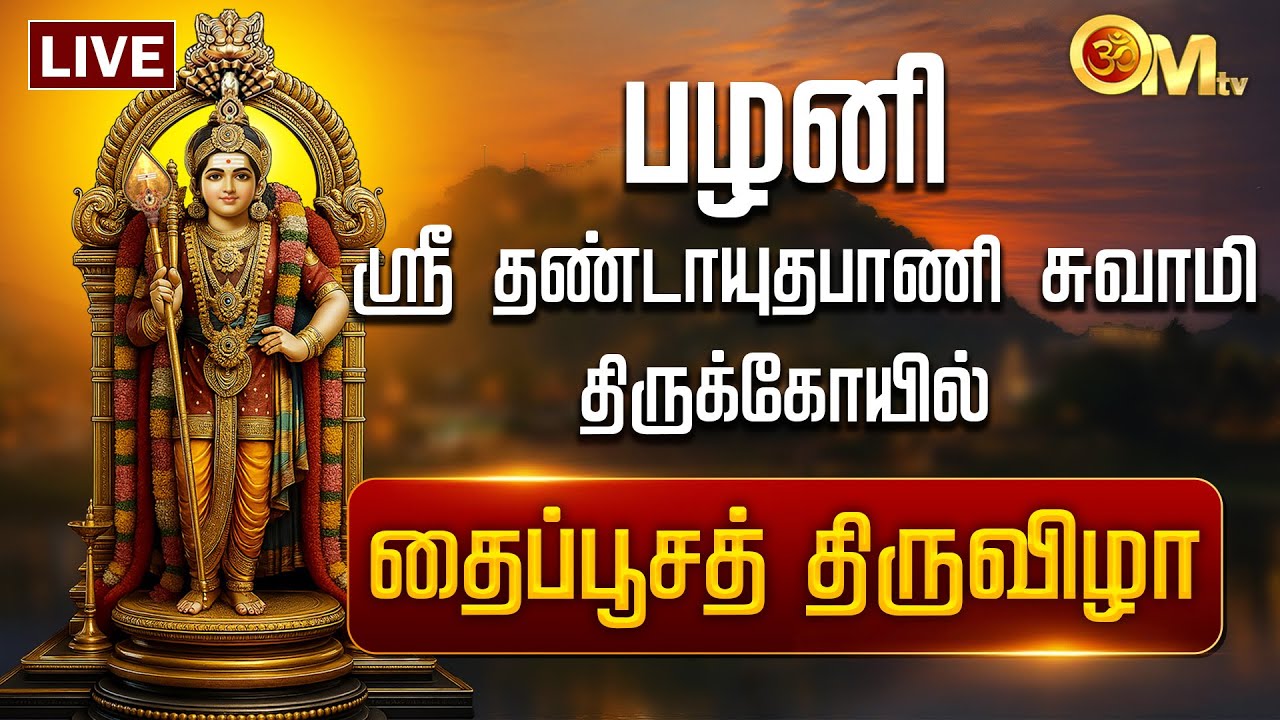 🔴LIVE: பழனி ஸ்ரீதண்டாயுதபாணி சுவாமி திருக்கோயில் - தைப்பூசத் திருவிழா | Palani | Thaipoosam | OM TV