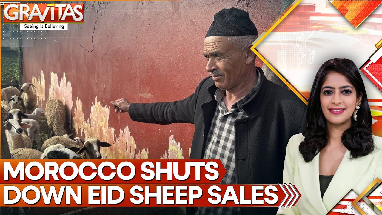 Morocco Clamps Down On Sheep Sales Ahead Of Eid Al-adha Amid Drought Crisis | GRAVITAS