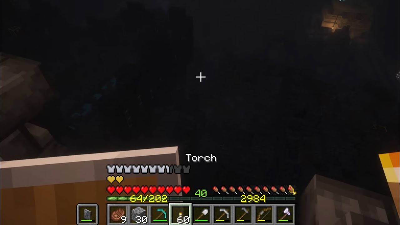 Minecraft Advanced Natural Survival Episode 11