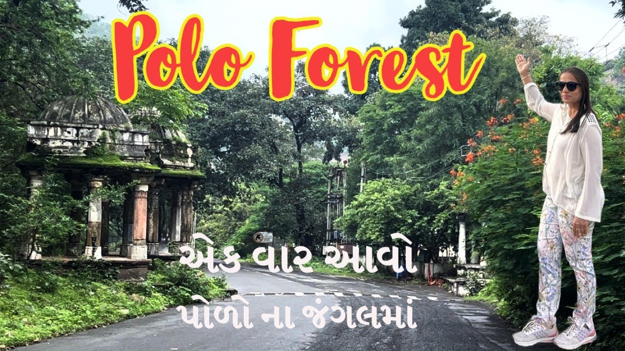 Polo Forest | Vijaynagar | પોળો ના જંગલો | Gujarat Tourism | Polo Himmatnagar | Polo Forest Resort