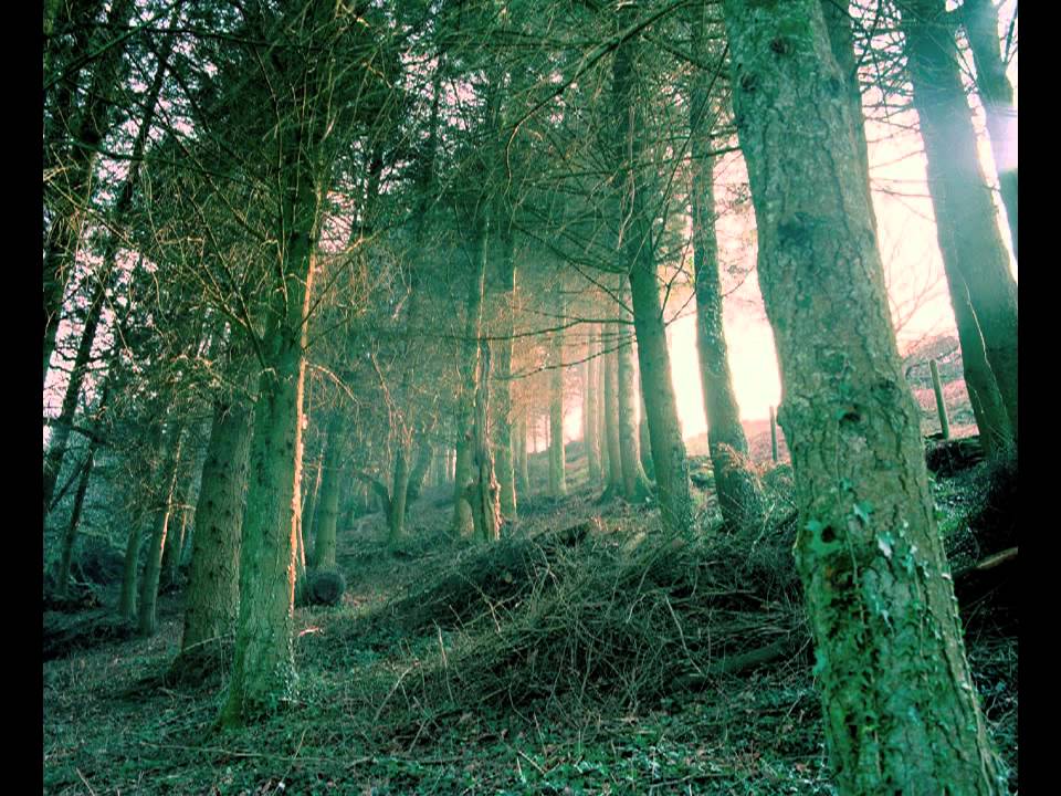 FREE DOWNLOAD: Hiatus - Lionesque