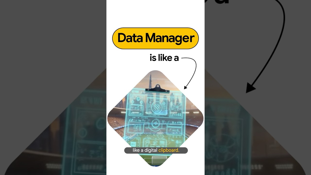 Data Manager 2025 explained by Product Manager