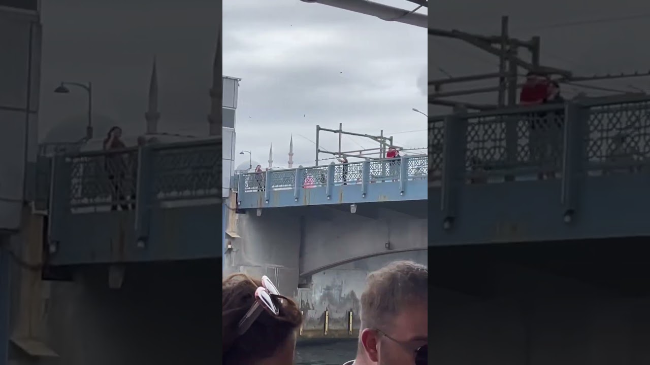 Bosphours Cruise Ride in Turkey 2023