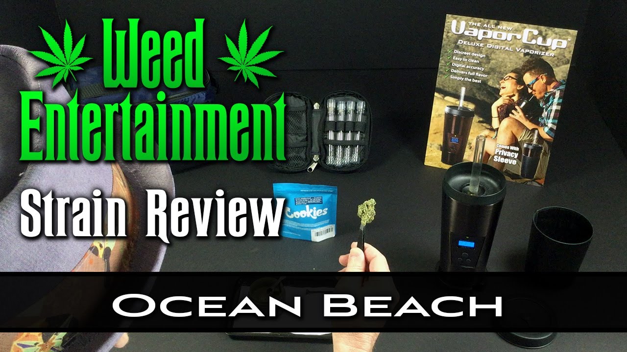 Ocean Beach - Hybrid - by Cookies - Strain Review - from Dr Greenthumbs, Sylmar, Ca