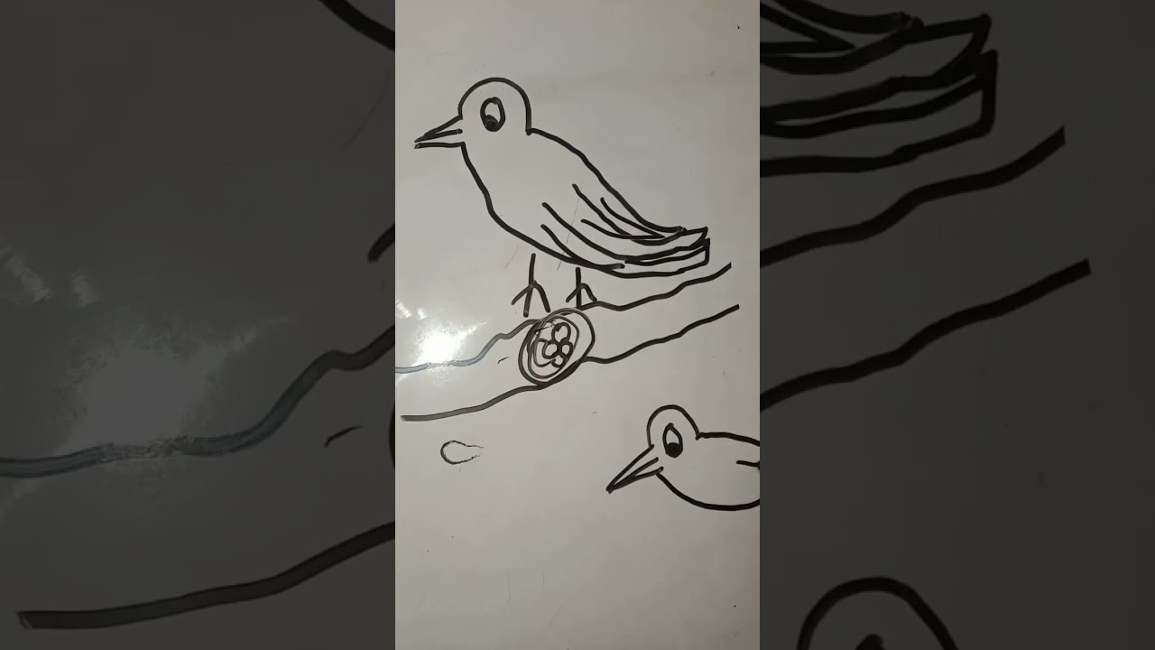 sweet bird making task. 🐦🐦🕊🕊🕊 