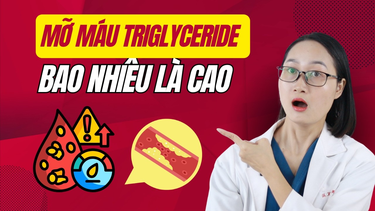 Triglyceride Bao Nhiêu Là Cao? Mức Nào Bắt Đầu Nguy Hiểm Cho Mạch Máu?