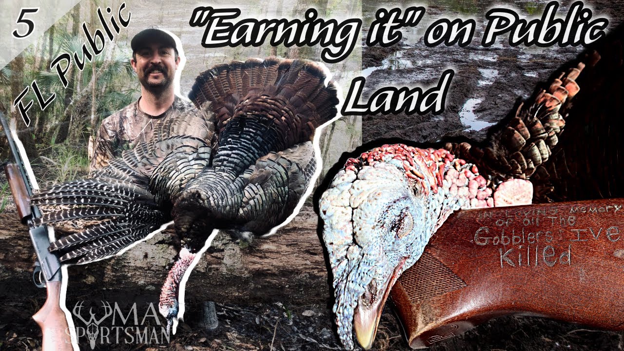 Florida WMA Turkey Harvest!!- Public Land Hunting - Osceola Hunt