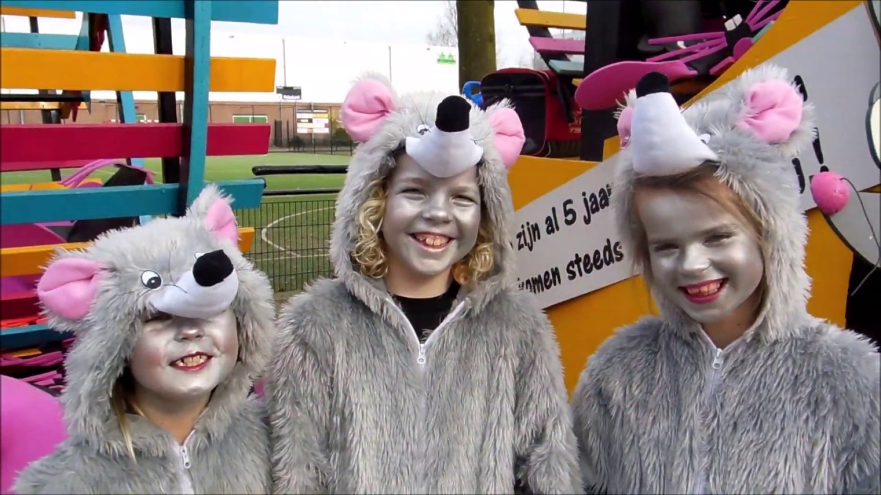 Carnavals Optocht Haarle 2019.