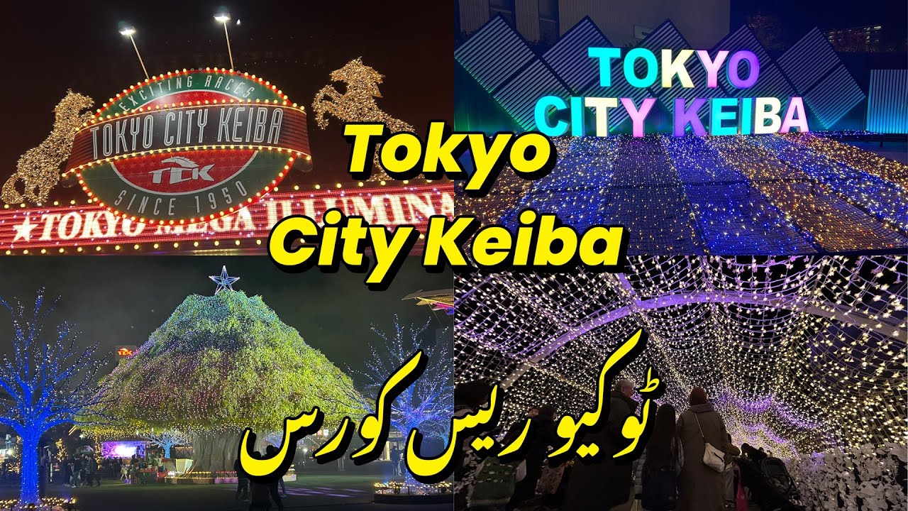 Tokyo City Keiba| نائٹ ویو، روشنیوں سے جگمگاتا ہوا ریس کورس