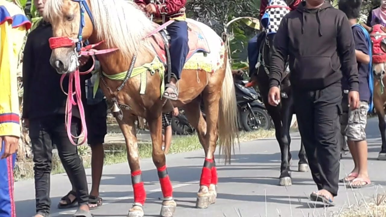 kudaa...  joged  / khataman/  di sarwadadi  Agustus 2023