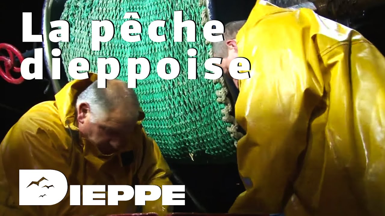 La pêche dieppoise : Le chalut