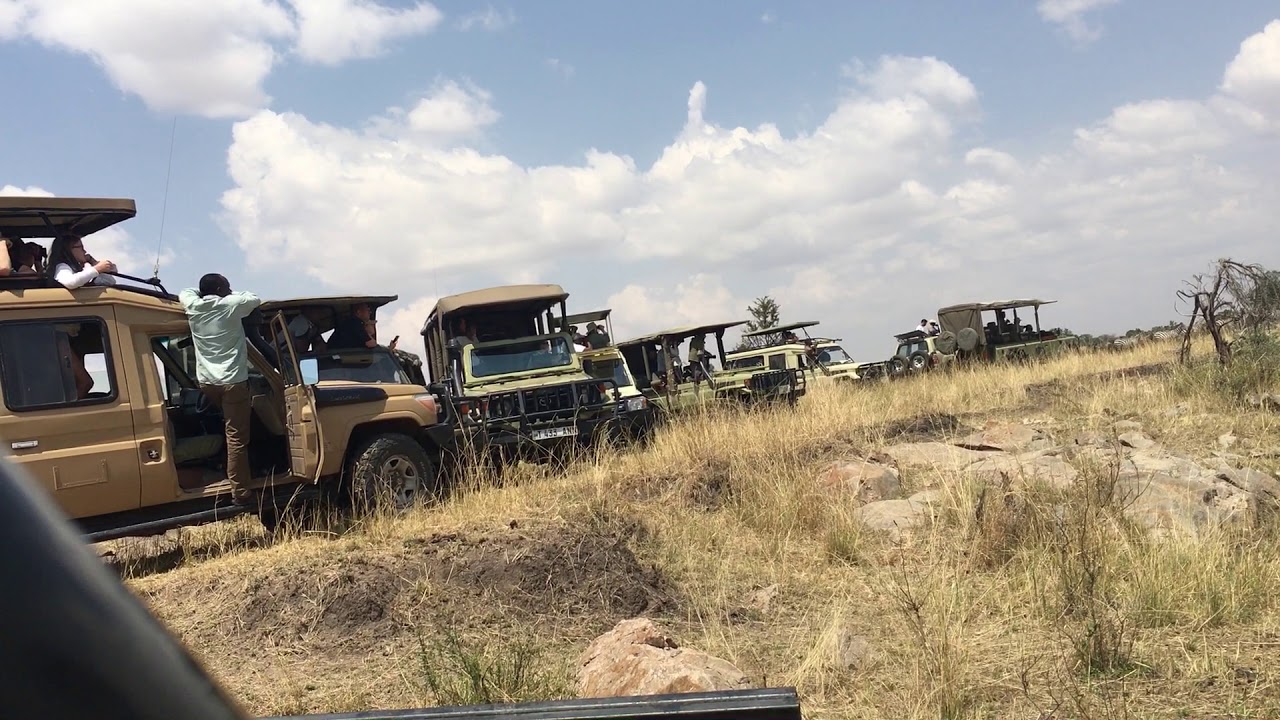 Grumeti river crossing Serengeti