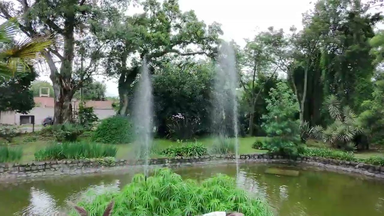 👰‍♂️🤵 Mónica & Martín 💍✨