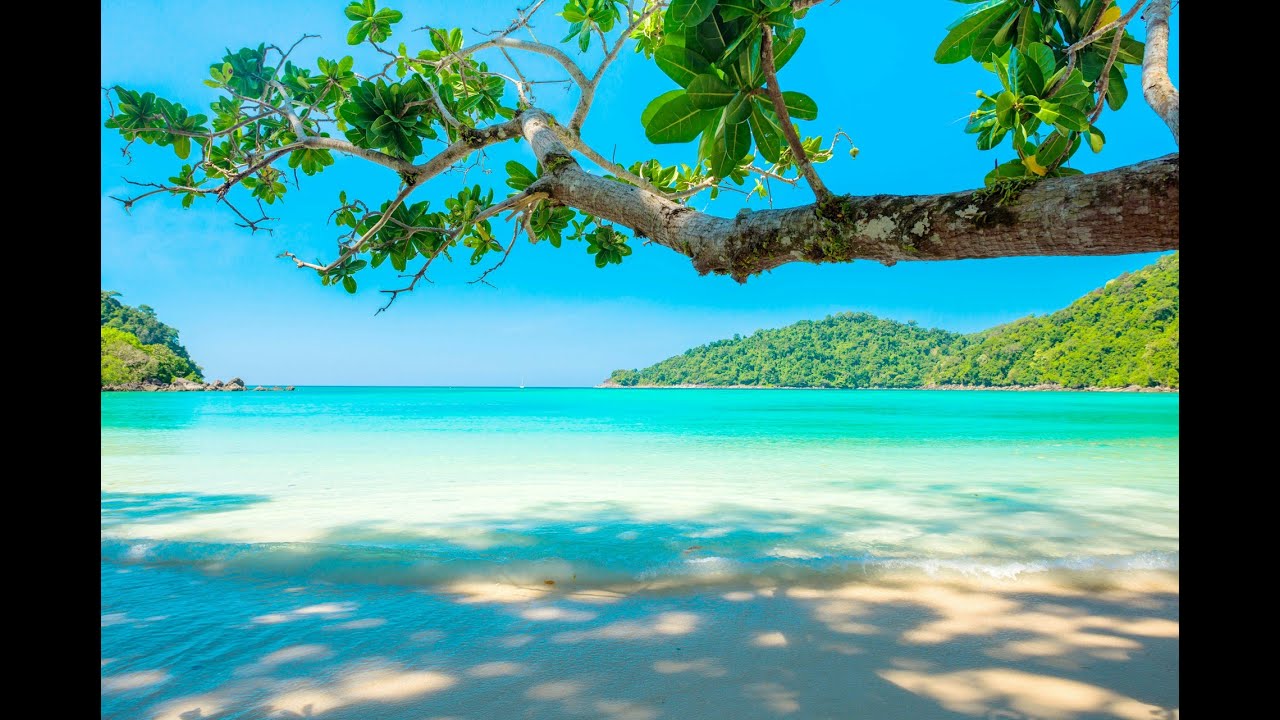Lounge Music & Tropical Chill Aerials (new music!)