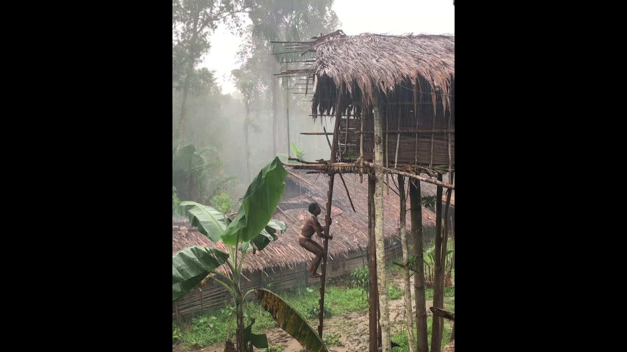 Korowai tree house tent camp