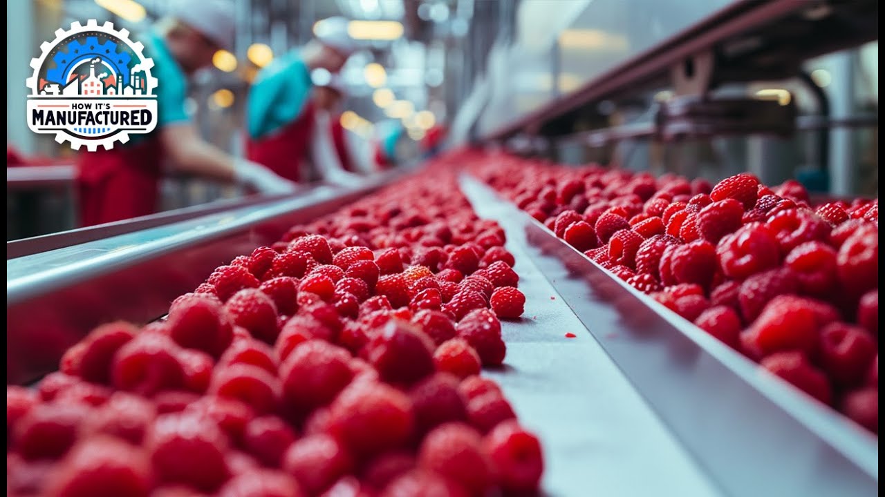How Raspberries Are Made: Inside the Amazing Production & Manufacturing Process