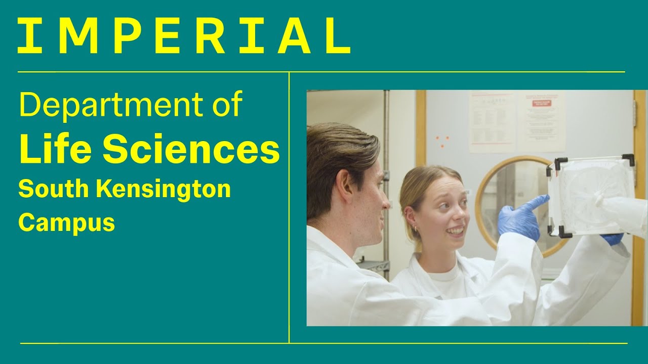 Postgraduate Study at Imperial | Life Sciences